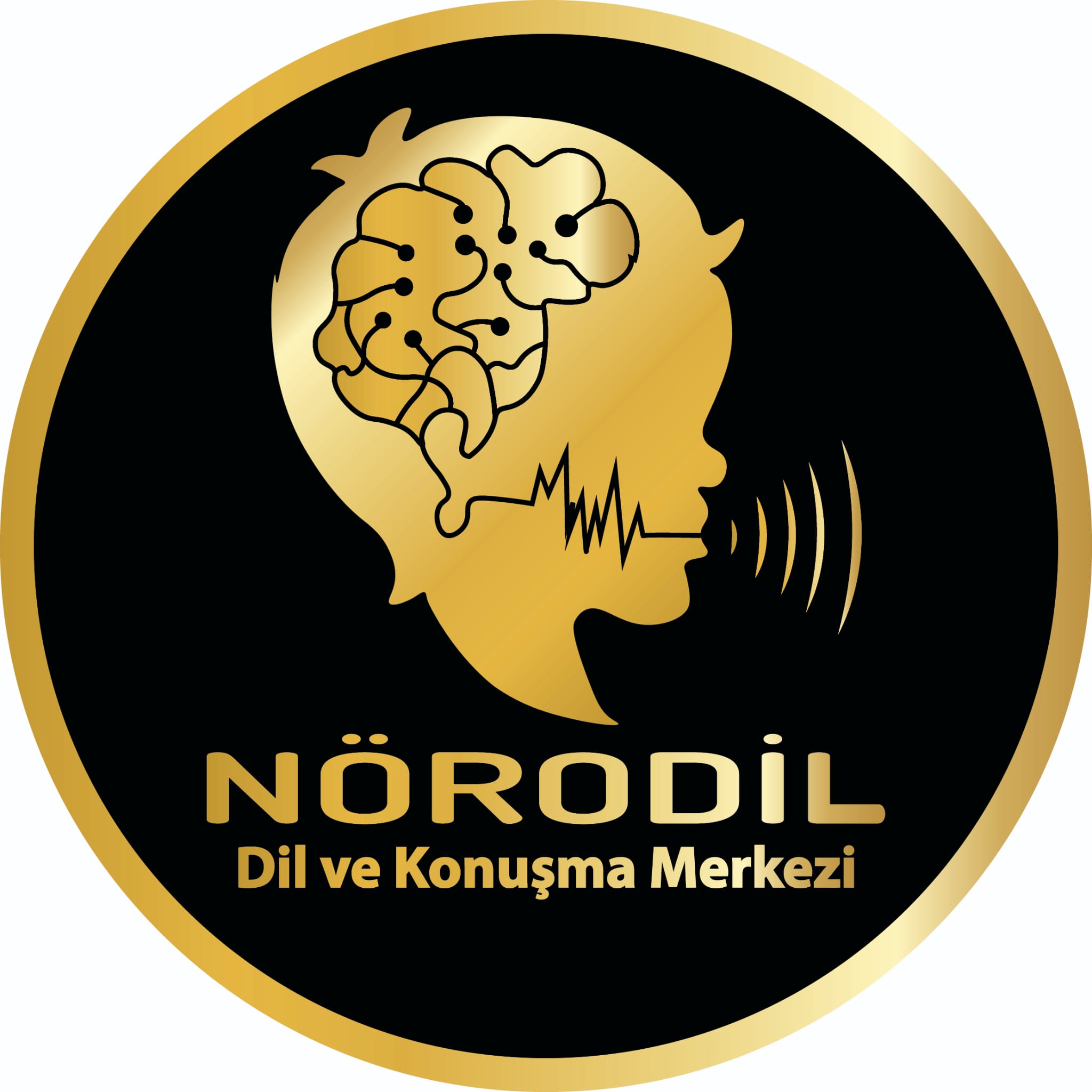 NÖRODİL Logo